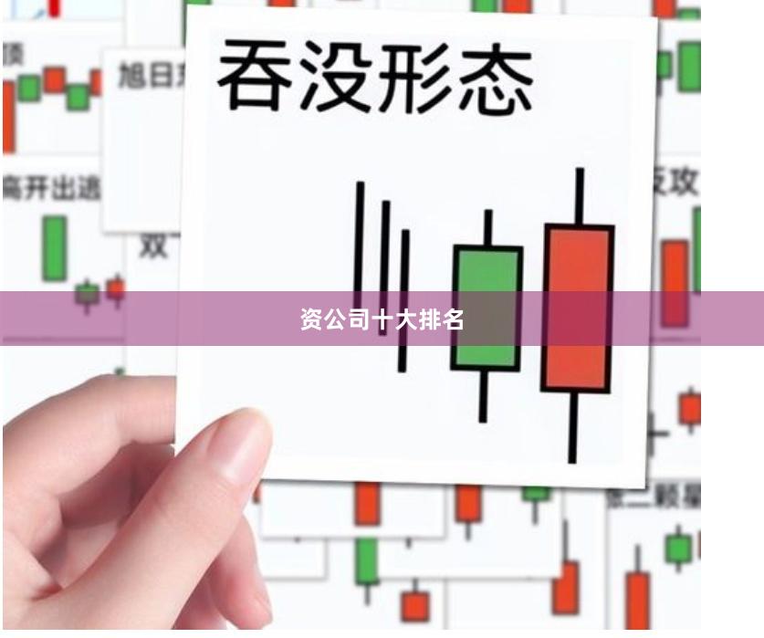 资公司十大排名