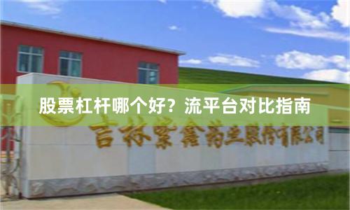 股票杠杆哪个好？流平台对比指南